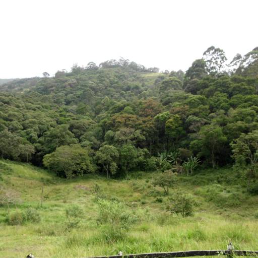 Terreno Rural - Estrada da Serrinha - São Roque por Coringa Empreendimentos Imobiliários