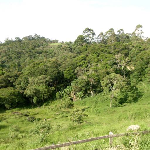Terreno Rural - Estrada da Serrinha - São Roque por Coringa Empreendimentos Imobiliários