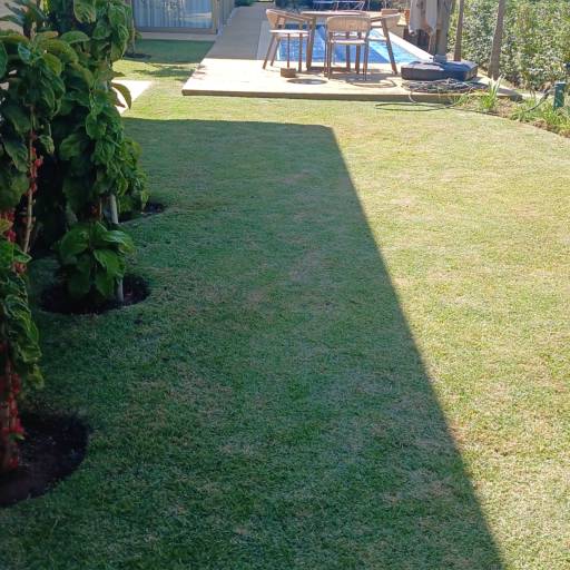 Serviços de Jardinagem em Campinas para Valorizar seu Espaço