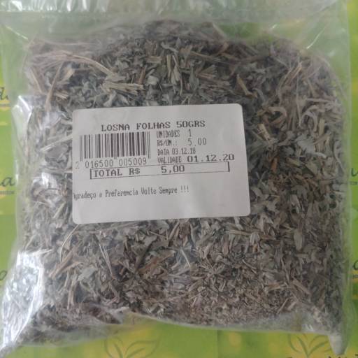 Losna folhas por Saúde e Vida