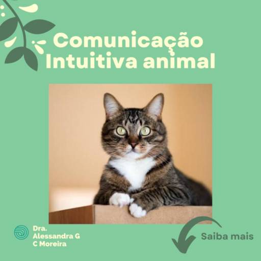 Comunicação Intuitiva Animal por Veterinária em Domicílio - Dra. Alessandra Gisele C. Moreira
