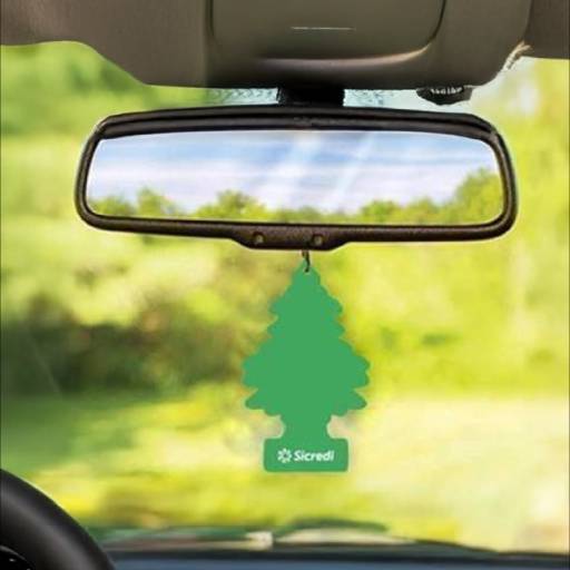 Cheirinho De Carro
