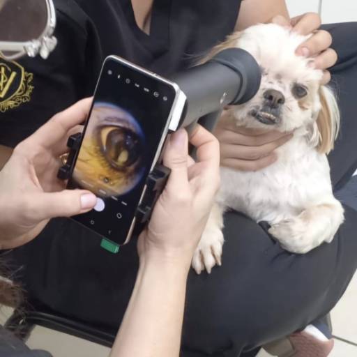 exame do fundo de olho para diagnóstico  em problemas de acuidade visual 