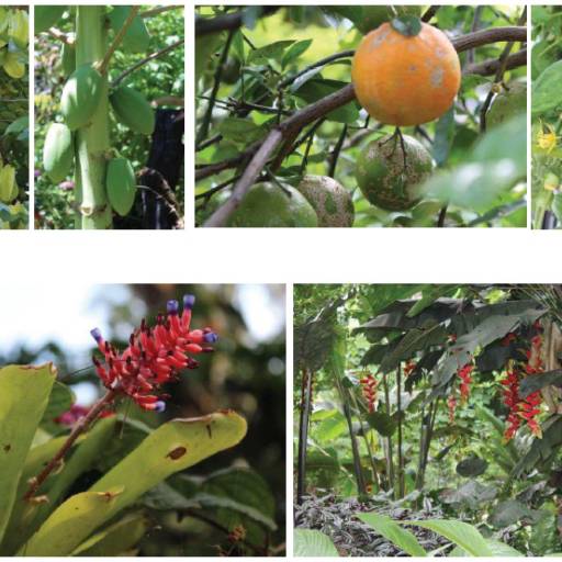 CHÁCARA À VENDA em Avaré, SP por Imobiliária Avareense