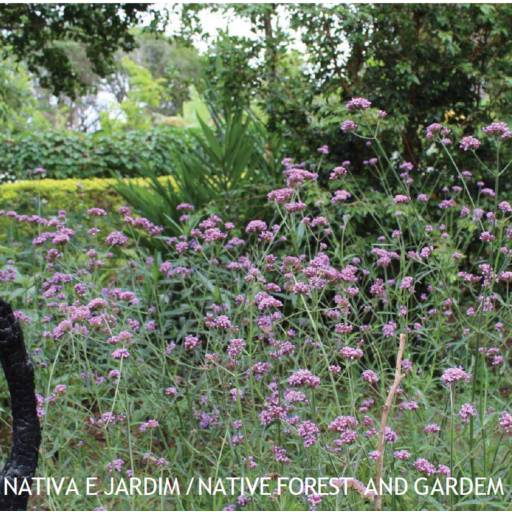 CHÁCARA À VENDA em Avaré, SP por Imobiliária Avareense