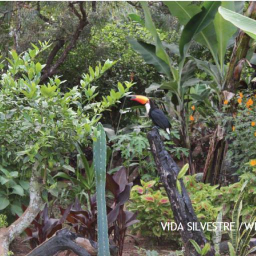 CHÁCARA À VENDA em Avaré, SP por Imobiliária Avareense