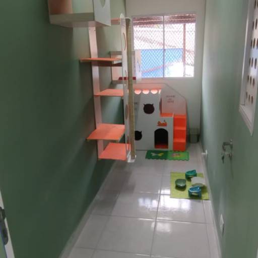 Hotel para Gatos em Atibaia, SP por Hotel da Vivi - Hotel para Cachorros e Hotel para Gatos em Atibaia