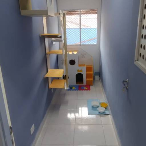 Hotel para Gatos em Atibaia, SP por Hotel da Vivi - Hotel para Cachorros e Hotel para Gatos em Atibaia