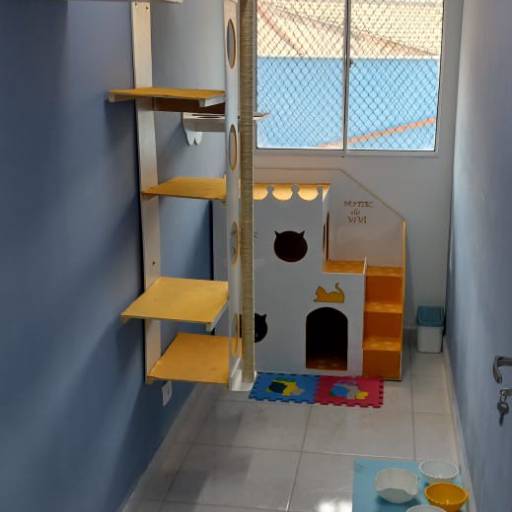 Hotel para Gatos em Atibaia, SP por Hotel da Vivi - Hotel para Cachorros e Hotel para Gatos em Atibaia