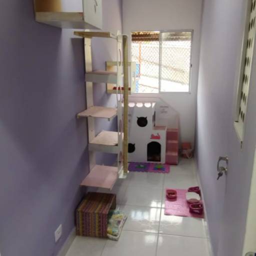 Hotel para Gatos em Atibaia, SP por Hotel da Vivi - Hotel para Cachorros e Hotel para Gatos em Atibaia