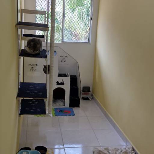 Hotel para Gatos em Atibaia, SP por Hotel da Vivi - Hotel para Cachorros e Hotel para Gatos em Atibaia