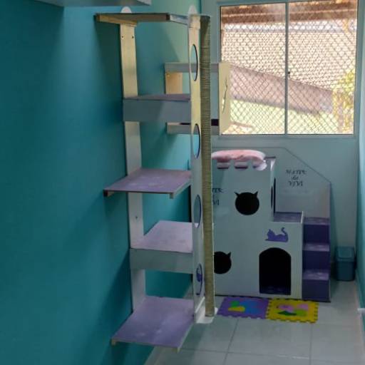 Hotel para Gatos em Atibaia, SP por Hotel da Vivi - Hotel para Cachorros e Hotel para Gatos em Atibaia