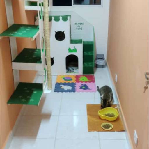 Hotel para Gatos em Atibaia, SP por Hotel da Vivi - Hotel para Cachorros e Hotel para Gatos em Atibaia