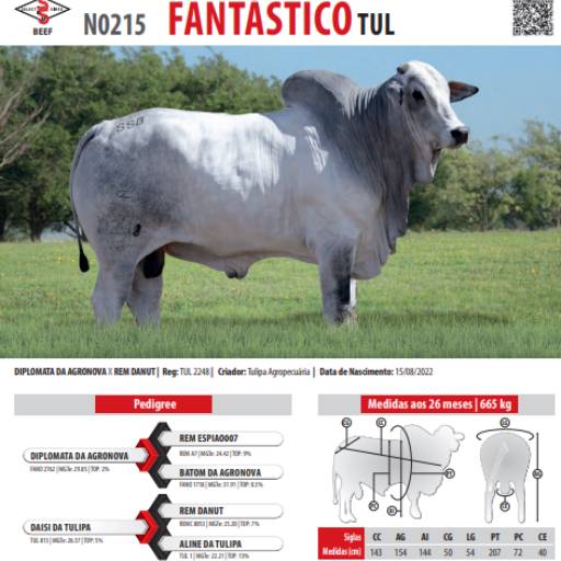 Touro Nelore Fantástico TUL (N0215)