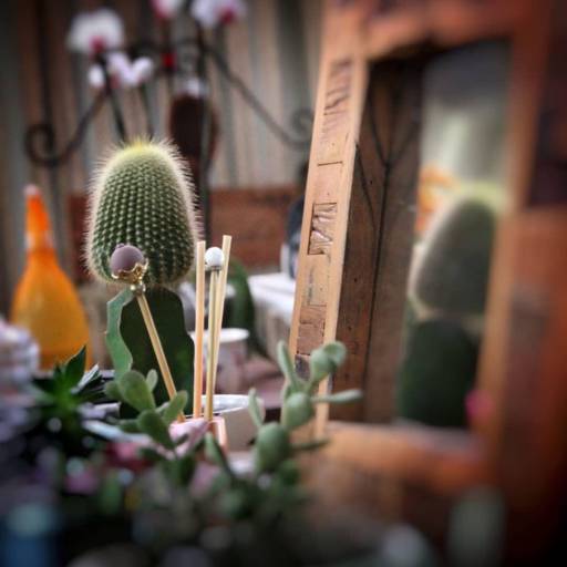 Detalhes que Encantam!!!