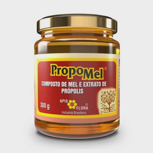 Mel com Própolis Propomel 300g - Apis Flora