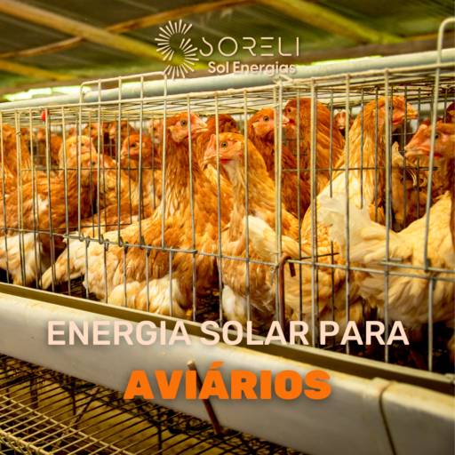 Energia Solar para Aviários