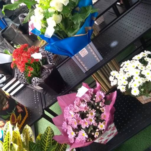 Presentes em Botucatu, SP por Botucatu Garden