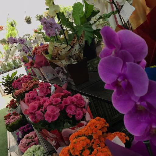 Presentes em Botucatu, SP por Botucatu Garden