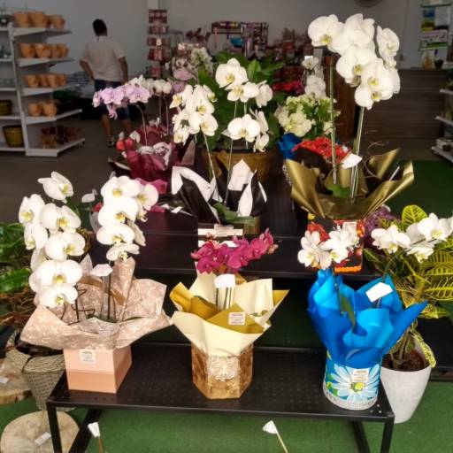 Presentes em Botucatu, SP por Botucatu Garden