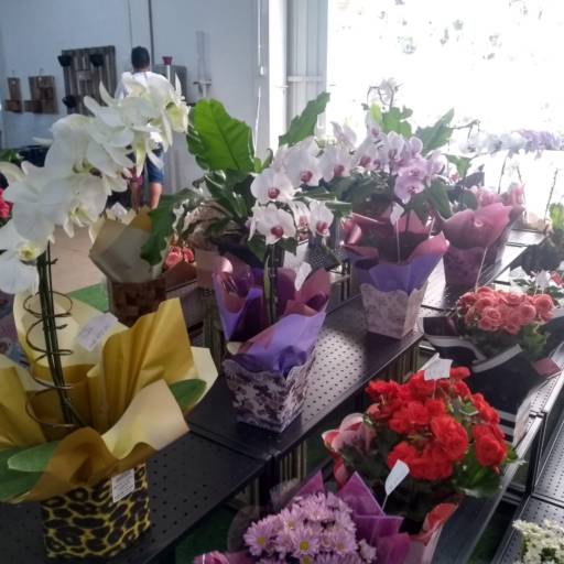 Presentes em Botucatu, SP por Botucatu Garden