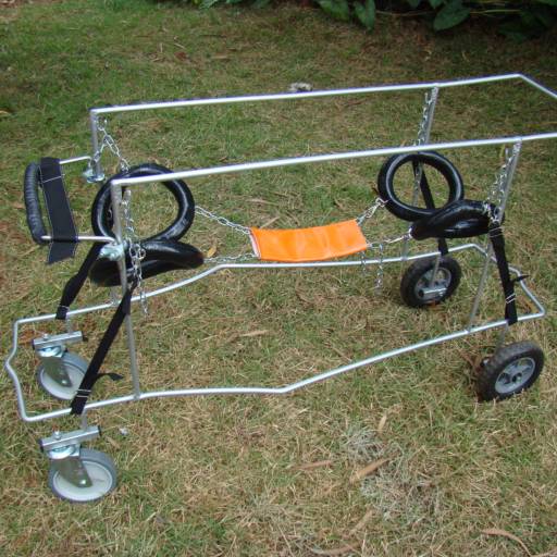 VetCar para 4 Membros por VetCar