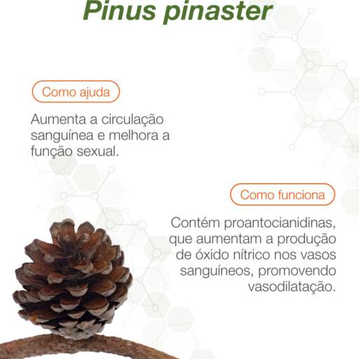 Pinus pinaster 150 mg 30 cápsulas em Atibaia, SP por Farmalu - Farmácia de Manipulação