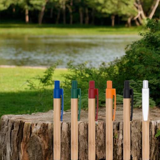 Caneta Ecológica De Bambu