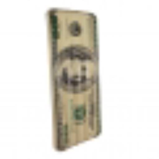 Boia Inflável Especial Gigante - Dólar por Sr. Piscina 