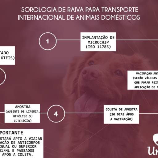 Sorologia de raiva para transporte internacional de animais domésticos por Unilab Laboratório Veterinário