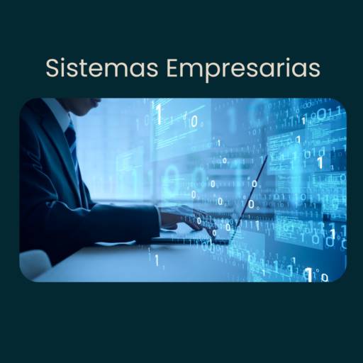 Comprar o produto de Sistemas Empresariais  em Programas e Software  pela empresa Aguiar Contabilidade, Certificado Digital e Softwares de Automação em Botucatu, SP por Solutudo