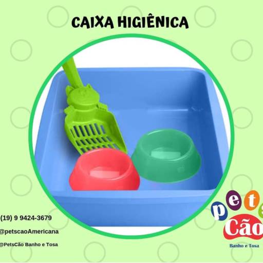 Caixa higienica