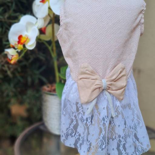 Vestido Bege  Premium em Jundiaí, SP por Bella's boutique Pet
