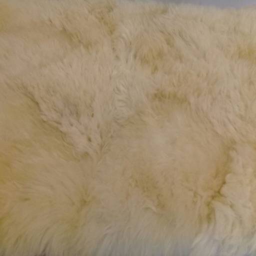 limpeza de tapetes  por Spa da Casa