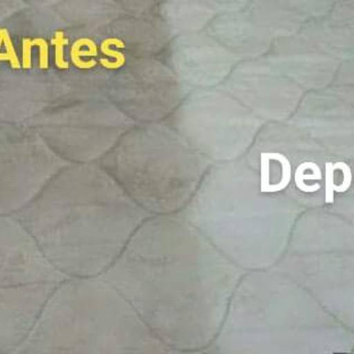 limpeza de tapetes  por Spa da Casa