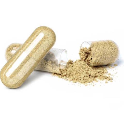 Conversor Next MC – Suplemento Mineral Concentrado