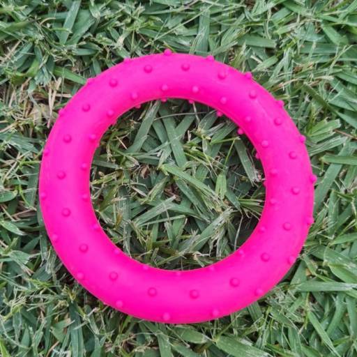 Mordedor Circulo Rosa em Jundiaí, SP por Bella's boutique Pet