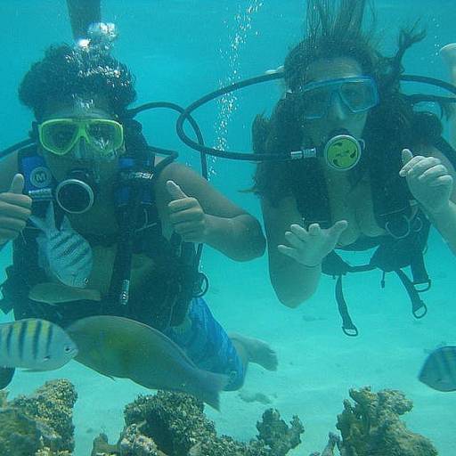 PASSEIO ILHA DO TAMANDUÁ por Yate Clube Martin de Sá
