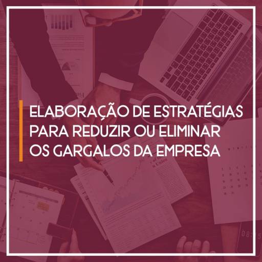 Elaboração de Estratégias para reduzir ou eliminar   os gargalos da empresa