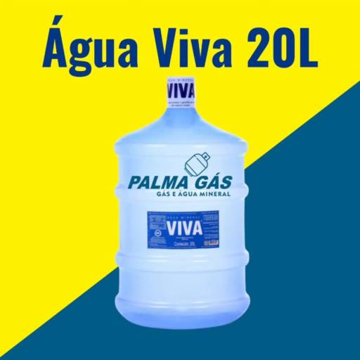 Água Mineral Viva 20 Litros em Várzea da Palma