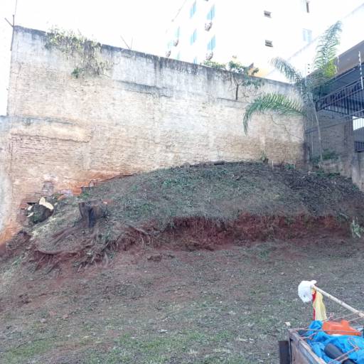 Corte de Árvore em Foz do Iguaçu, PR por EcoFoz Serviços