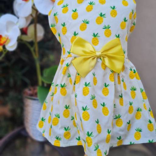 Vestido de Abacaxi  em Jundiaí, SP por Bella's boutique Pet