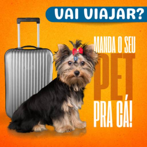 Hotel para Cachorro 