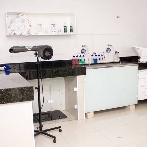 Nosso banho e tosa 