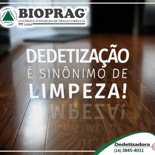 Comprar o produto de Bioprag Dedetizadora em A Classificar pela empresa Bioprag - Controle Integrado de Pragas Urbanas - Boituva em Boituva, SP por Solutudo