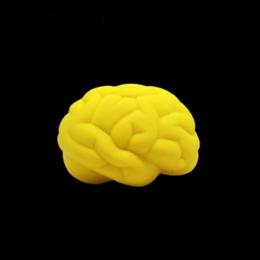 Cérebro Anti-Stress Vinil oca Personalizado em São José do Rio Preto, SP por Public Gráfica e Brindes