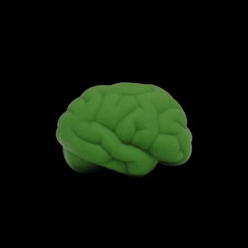 Cérebro Anti-Stress Vinil oca Personalizado em São José do Rio Preto, SP por Public Gráfica e Brindes