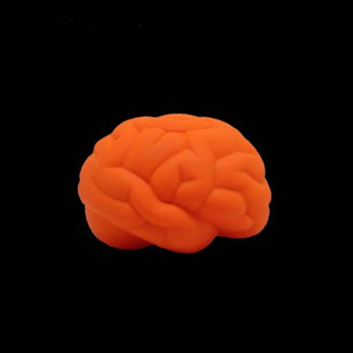 Cérebro Anti-Stress Vinil oca Personalizado em São José do Rio Preto, SP por Public Gráfica e Brindes