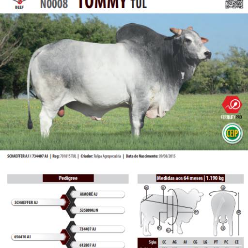 Touro Nelore Tommy TUL (N0008)