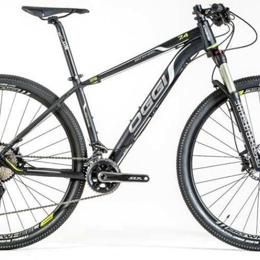 Bicicleta Oggi